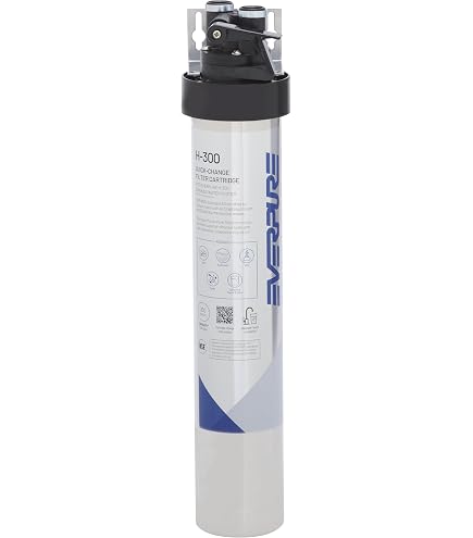 Amazon.com: Pentair Everpure H-300-NXT Drinking Water System, 300